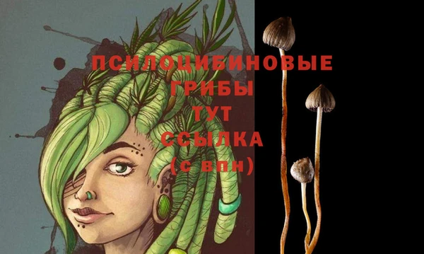 mix Абаза